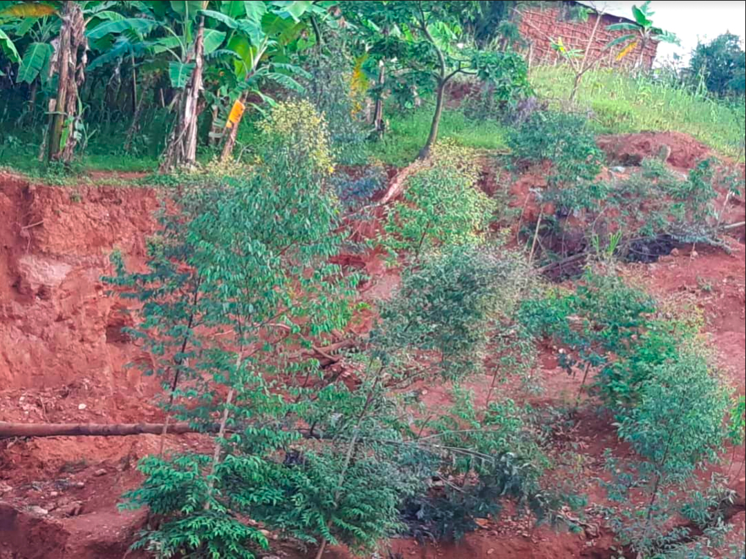 RULINDO Five Apprehended In Illegal Mining Activities